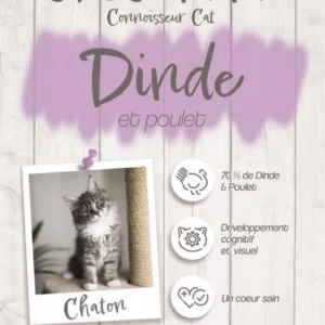 Croquettes Crocsmimi pour chaton – dinde et poulet