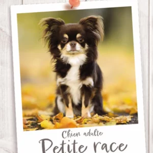 Croquettes pour chiens Petite race
