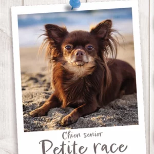 Croquettes pour Petite Race Senior