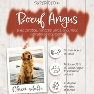 Croquettes Crocsmimi pour chien adulte – recette bœuf Angus