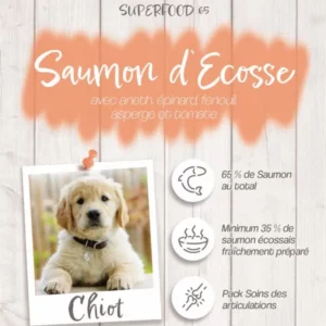 Croquettes Crocsmimi pour chiot – recette saumon d’Écosse