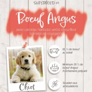 Croquettes Crocsmimi pour chiot – recette bœuf Angus