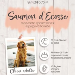 Crocsmimi Chien Adulte – Croquettes au saumon d’Écosse