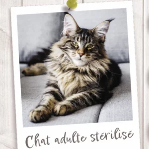 Croquettes pour Chats Stérilisé
