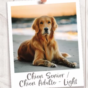 Croquettes pour chiens senior