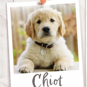Croquettes pour chiots