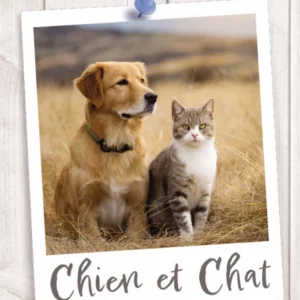 Friandises pour chiens et chats